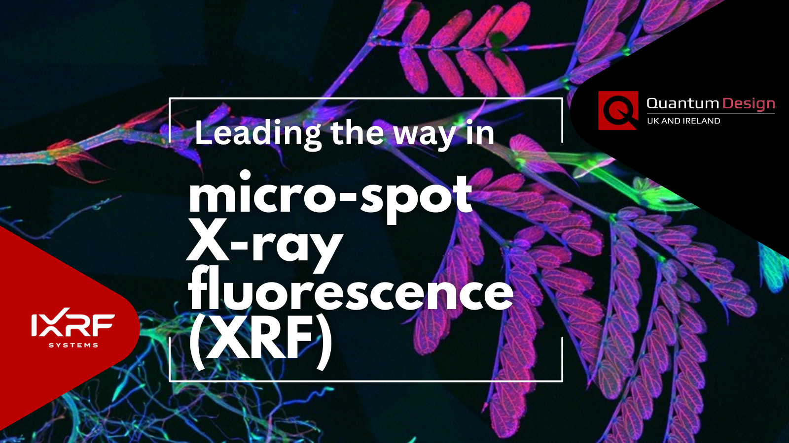 Innovation in X-Ray Microanalysis